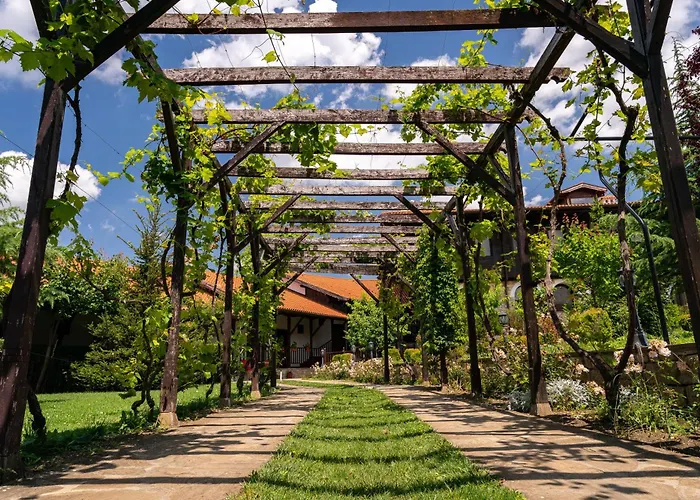 Ξενοδοχείο Rachev